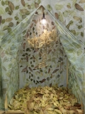 Geraldine Javier, Magic is Back, 2013, Interior of the tent: Preserved tree with skeletonized leaves, # JAVI0007 